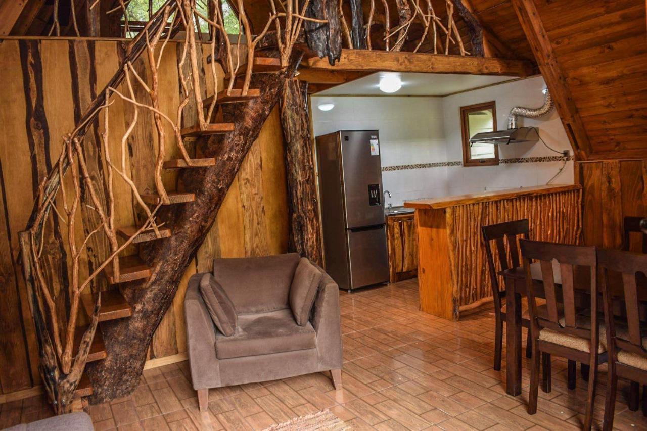 Cabanas Ecoturismo La Pancha Puerto Aysen Ngoại thất bức ảnh