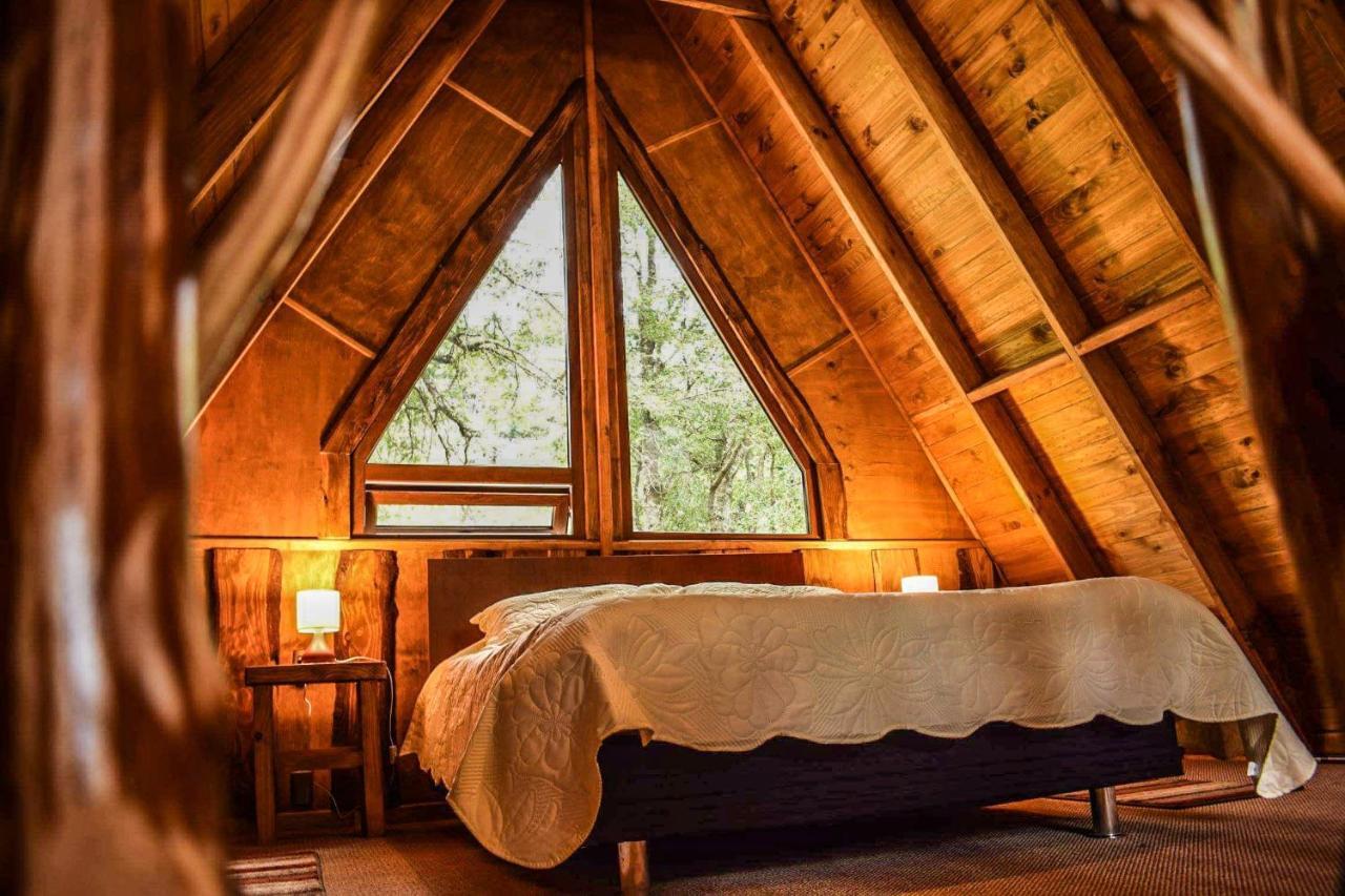 Cabanas Ecoturismo La Pancha Puerto Aysen Ngoại thất bức ảnh