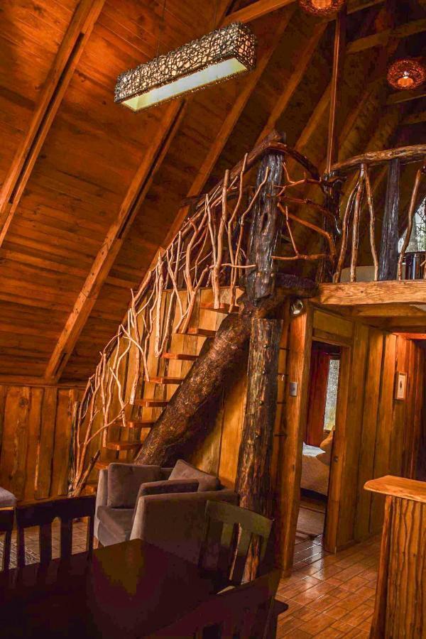 Cabanas Ecoturismo La Pancha Puerto Aysen Ngoại thất bức ảnh